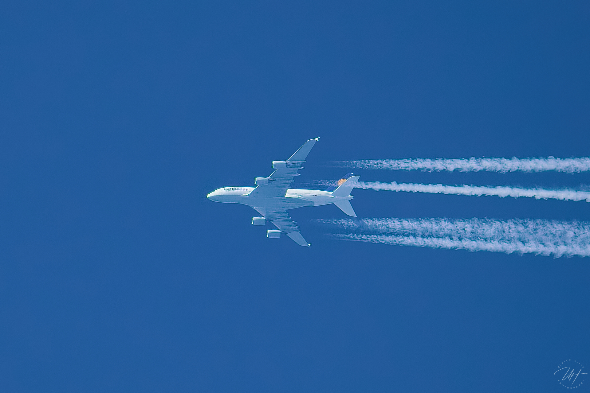 LH481