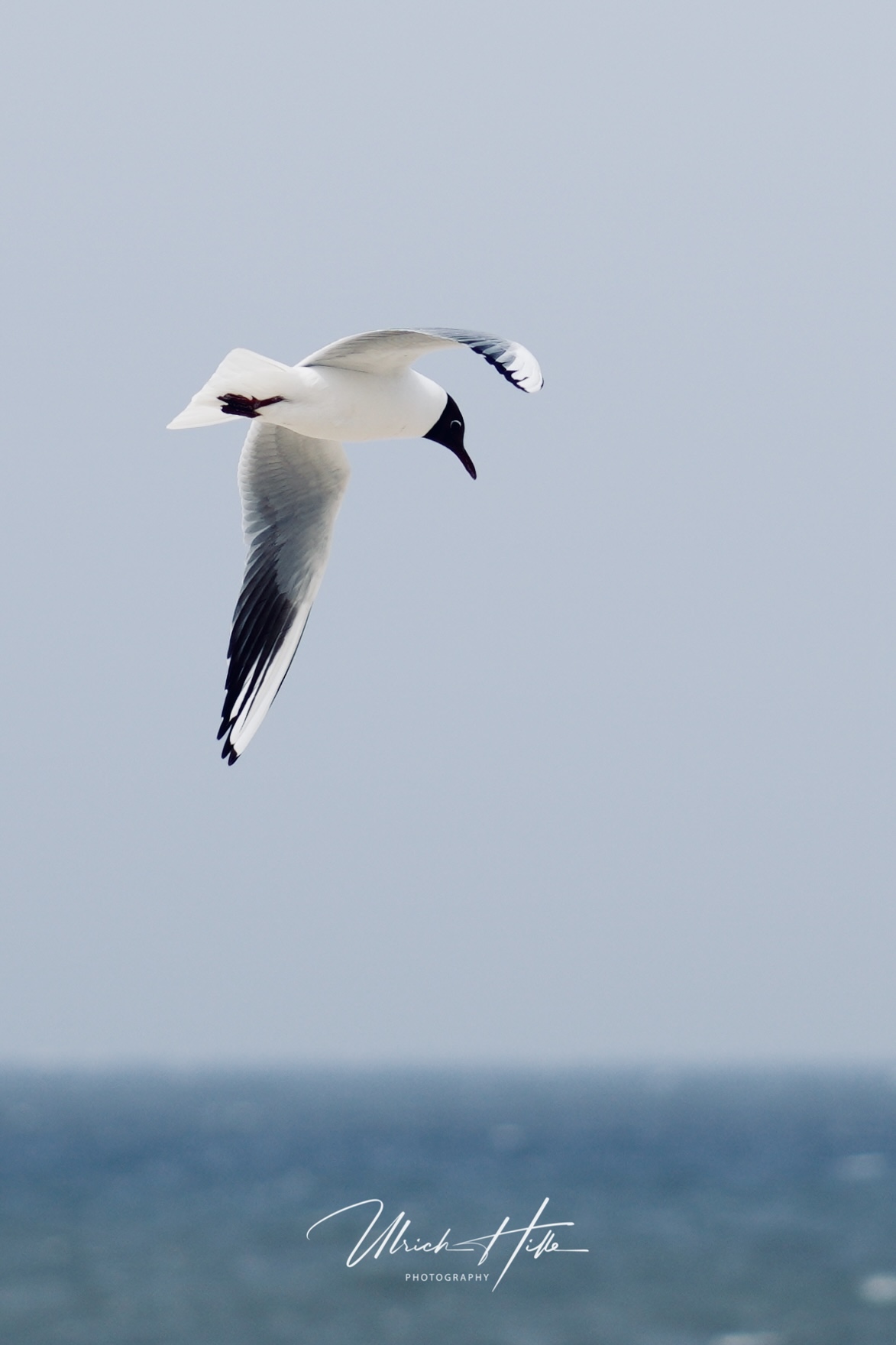 Tag am Meer